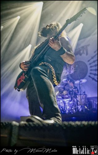 Lowen-UK-DSC 2185 DxO