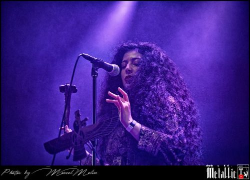 Lowen-UK-DSC 2228 DxO