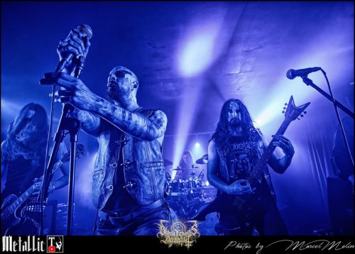 MALPHAS-CHE-DSC 9789 DxO