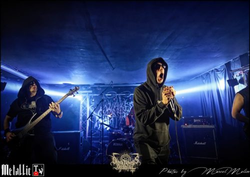 NAKED-WHIPPER-DE-DSC 7246 DxO