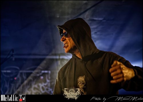 NAKED-WHIPPER-DE-DSC 7248 DxO