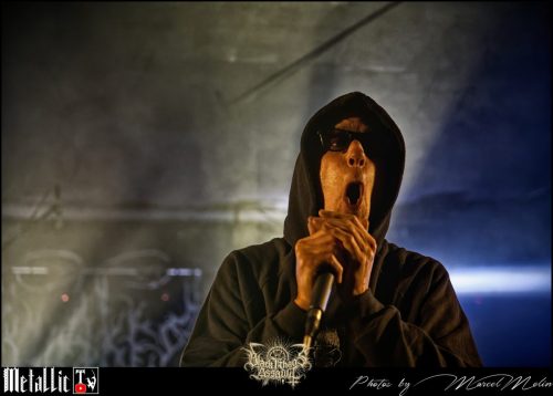 NAKED-WHIPPER-DE-DSC 7252 DxO