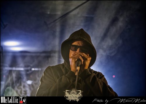 NAKED-WHIPPER-DE-DSC 7253 DxO