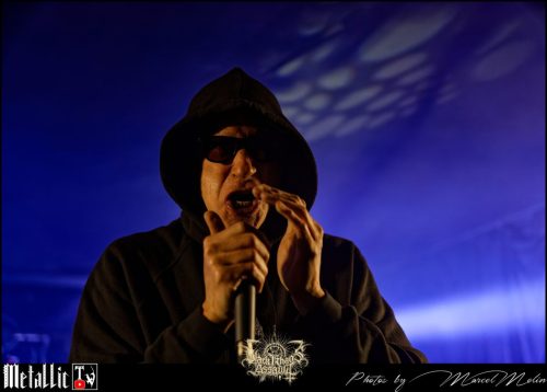 NAKED-WHIPPER-DE-DSC 7269 DxO