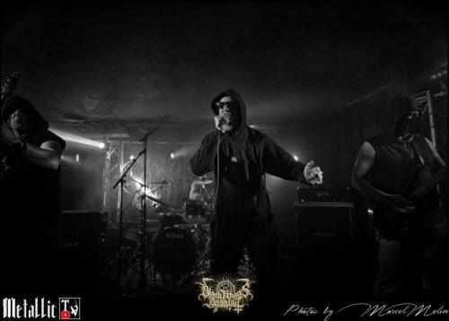 NAKED-WHIPPER-DE-DSC 7285 DxO