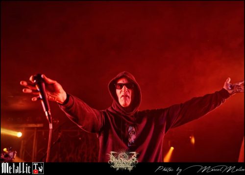 NAKED-WHIPPER-DE-DSC 7297 DxO-selection-1