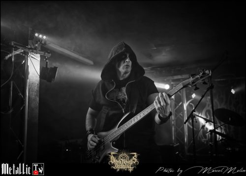 NAKED-WHIPPER-DE-DSC 7302 DxO