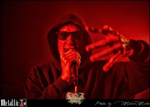 NAKED-WHIPPER-DE-DSC 7309 DxO