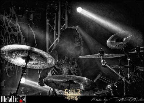 NAKED-WHIPPER-DE-DSC 7372 DxO