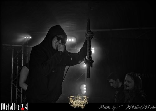 NAKED-WHIPPER-DE-DSC 7382 DxO