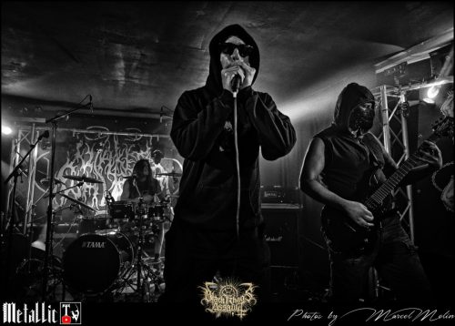 NAKED-WHIPPER-DE-DSC 7403 DxO