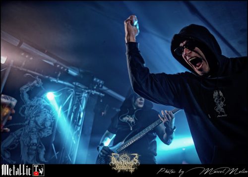 NAKED-WHIPPER-DE-DSC 7406 DxO-selection-7