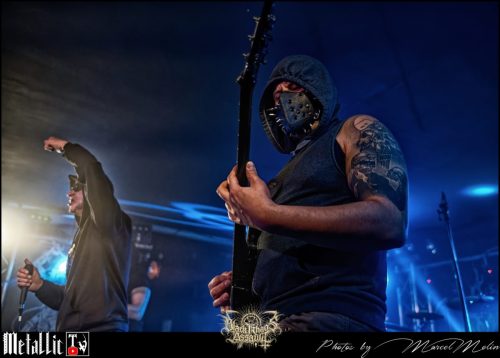 NAKED-WHIPPER-DE-DSC 7414 DxO