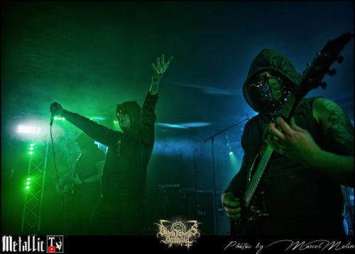 NAKED-WHIPPER-DE-DSC 7432 DxO