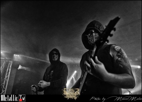 NAKED-WHIPPER-DE-DSC 7444 DxO