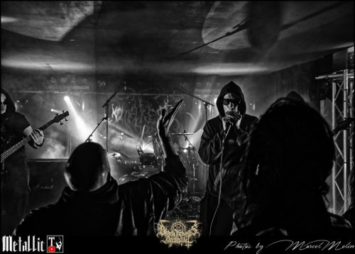 NAKED-WHIPPER-DE-DSC 7451 DxO