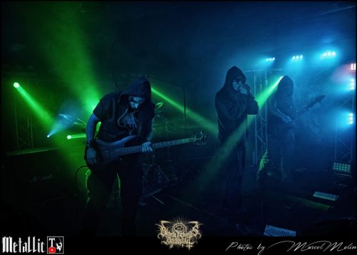 NAKED-WHIPPER-DE-DSC 7463 DxO