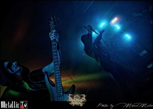 NAKED-WHIPPER-DE-DSC 7466 DxO