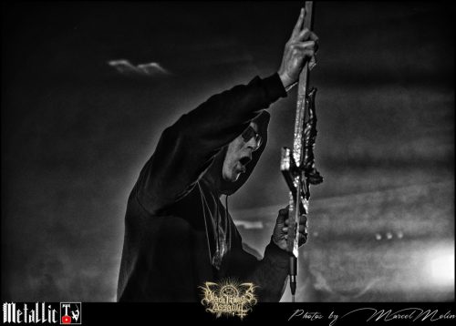 NAKED-WHIPPER-DE-DSC 7501 DxO