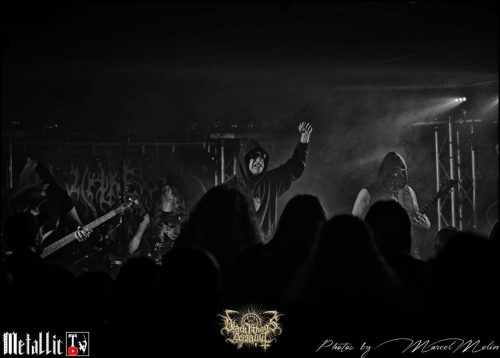 NAKED-WHIPPER-DE-DSC 7527 DxO