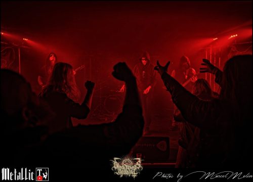 NAKED-WHIPPER-DE-DSC 7595 DxO