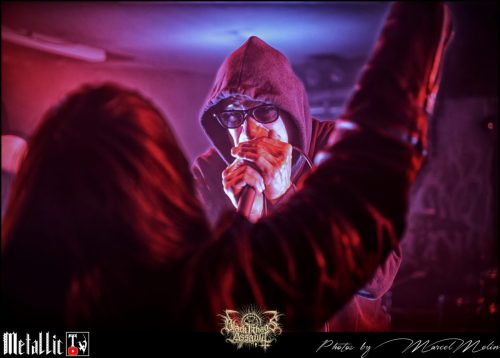 NAKED-WHIPPER-DE-DSC 7613 DxO