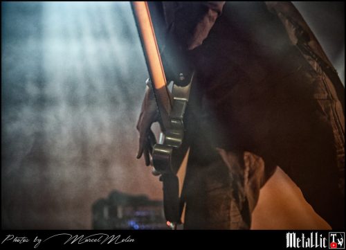 Pothamus-DSC 1686 DxO