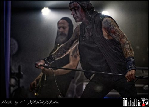 Primordial-IE-DSC 3289 DxO-selection-1