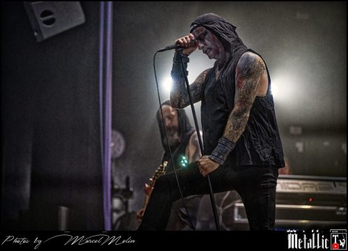 Primordial-IE-DSC 3293 DxO