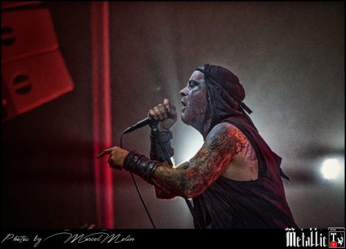 Primordial-IE-DSC 3299 DxO