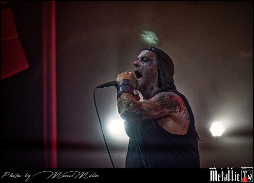 Primordial-IE-DSC 3301 DxO-selection-2