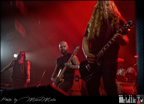 Primordial-IE-DSC 3307 DxO-selection-3