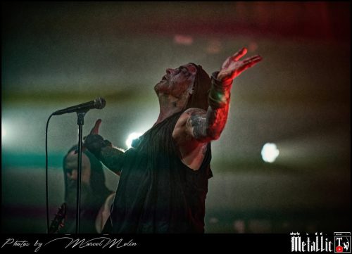 Primordial-IE-DSC 3309 DxO