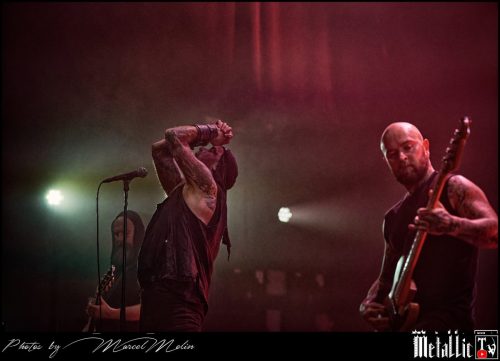 Primordial-IE-DSC 3311 DxO-selection-4