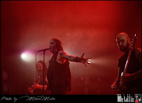 Primordial-IE-DSC 3312 DxO