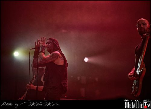 Primordial-IE-DSC 3314 DxO