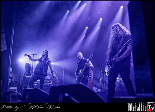 Primordial-IE-DSC 3322 DxO-selection-6