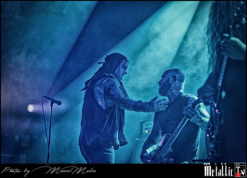 Primordial-IE-DSC 3339 DxO-selection-7