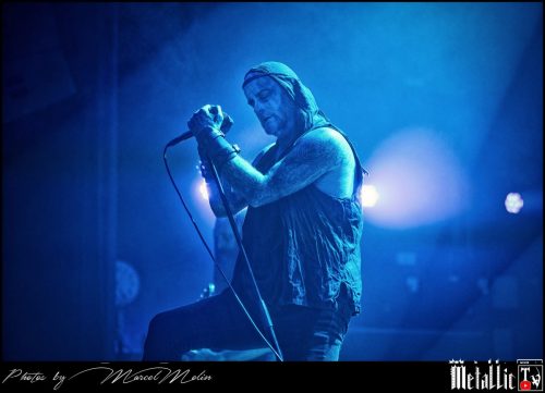 Primordial-IE-DSC 3342 DxO-selection-9