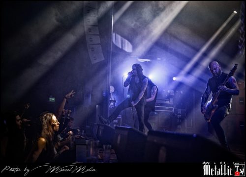 Primordial-IE-DSC 3374 DxO