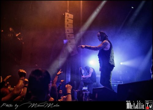 Primordial-IE-DSC 3381 DxO-selection-11