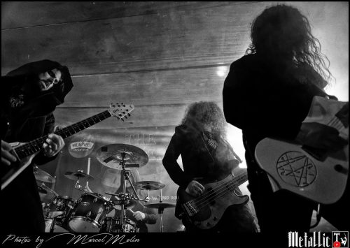 TGOO-DSC 8994 DxO