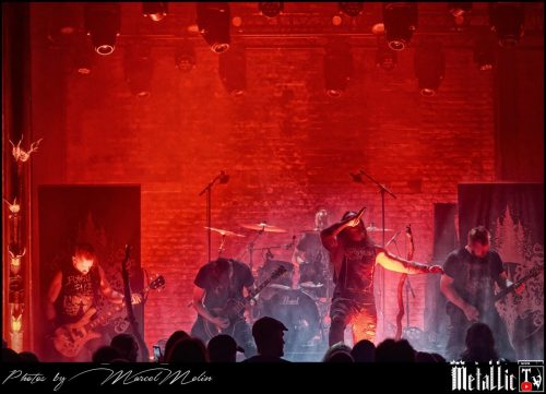 Waldgefluster-DE-DSC 2927 DxO