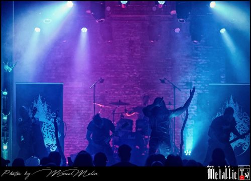 Waldgefluster-DE-DSC 2931 DxO