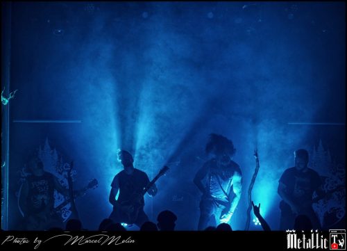 Waldgefluster-DE-DSC 2934 DxO