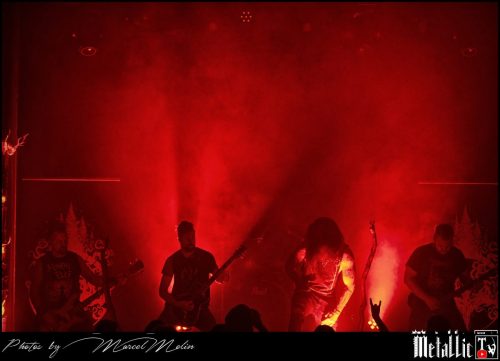 Waldgefluster-DE-DSC 2938 DxO